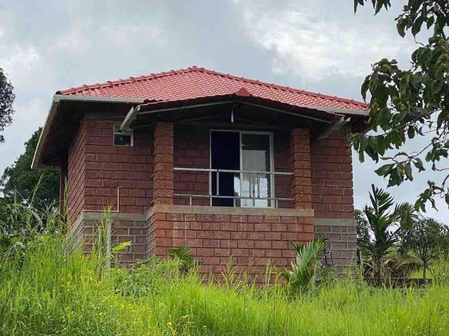 Narsinge Mars Jungle Adventure Stud Farm With Private Jacuzzi 빌라 외부 사진