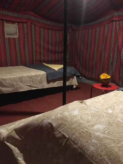 Narsinge Mars Jungle Adventure Stud Farm With Private Jacuzzi 빌라 객실 사진