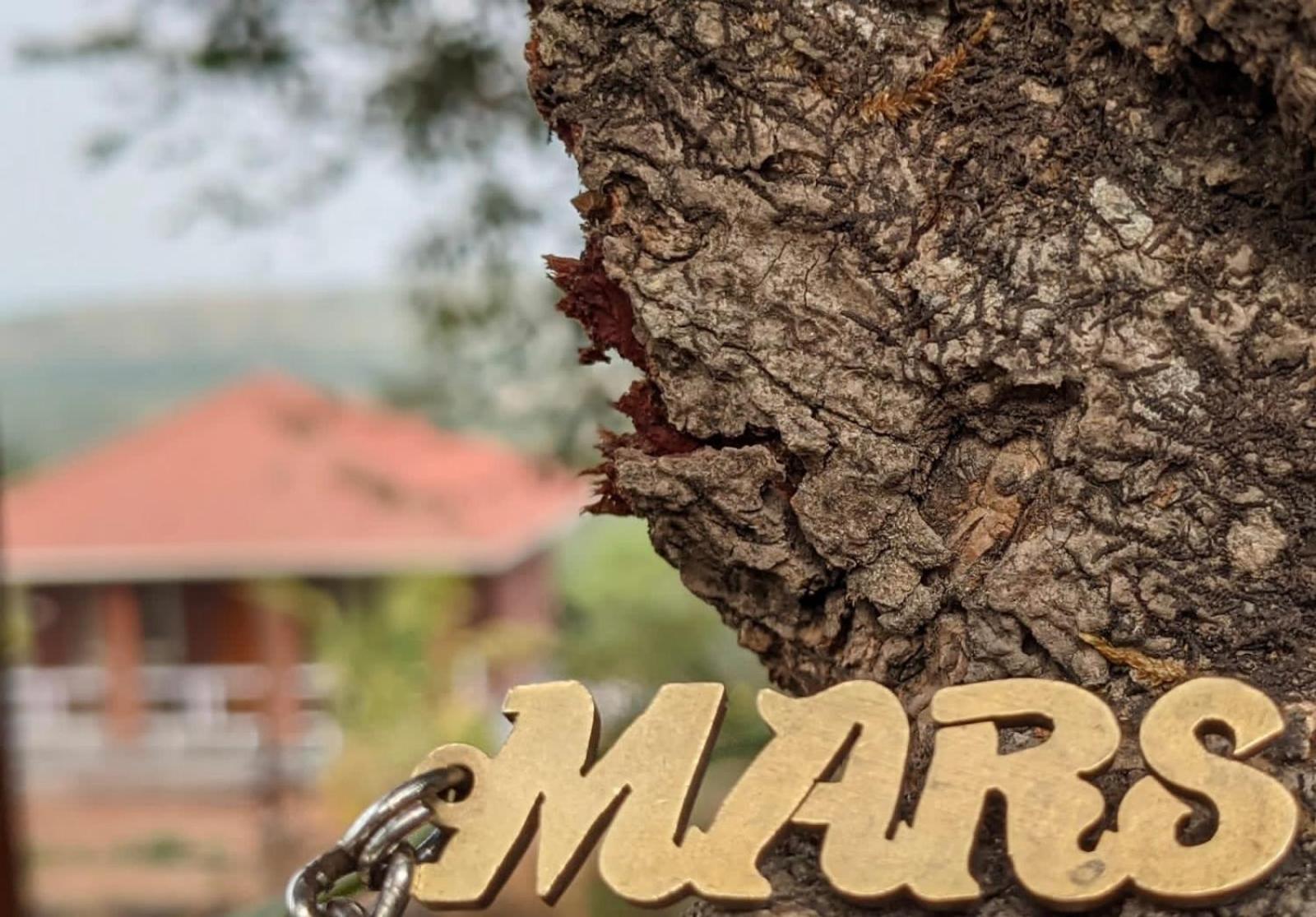 Narsinge Mars Jungle Adventure Stud Farm With Private Jacuzzi 빌라 외부 사진